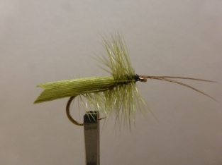 Size 16 Olive Sedge Horned